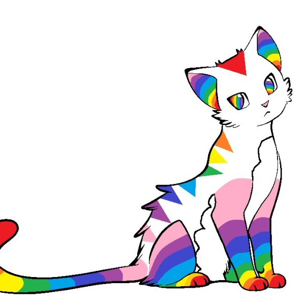 Радужная кошка