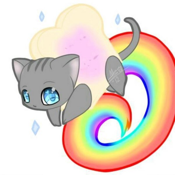 Котик на Радужном фоне