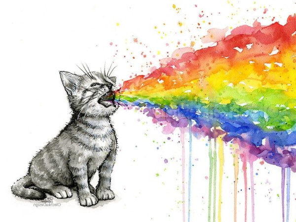 Фон с котиками с радугами