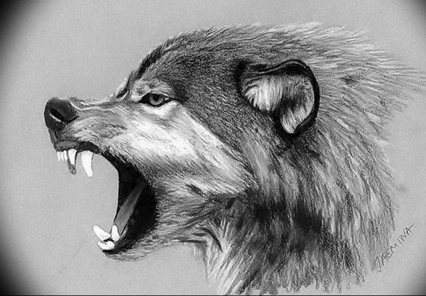 Оскал карандашом