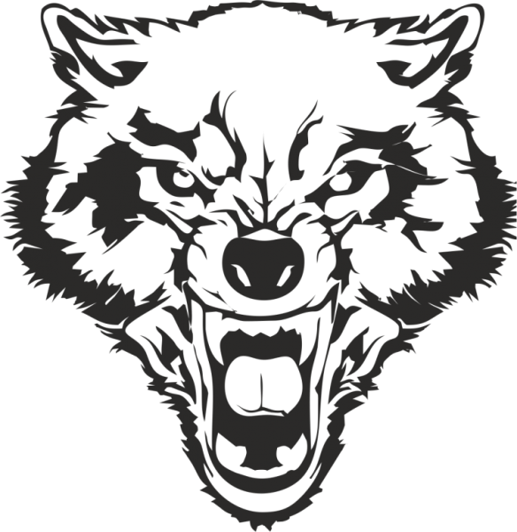 Оскаленная голова волка