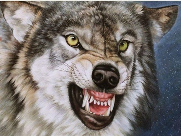Живопись волк оскал