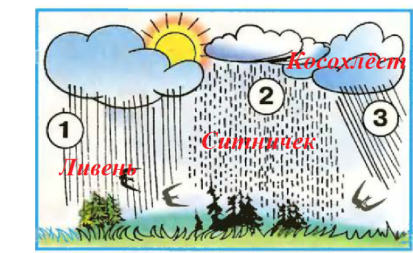 Виды дождя для детей