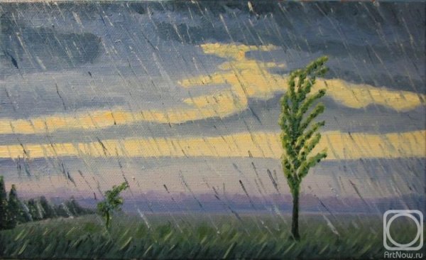 Ненастный день в поле