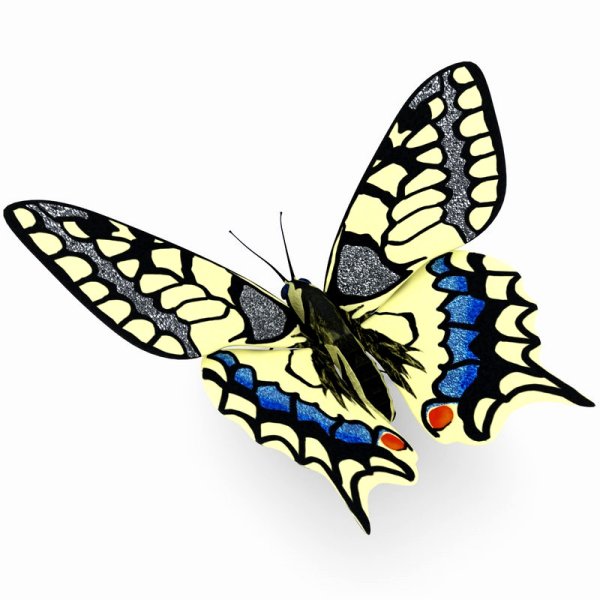 Махаон (бабочка)