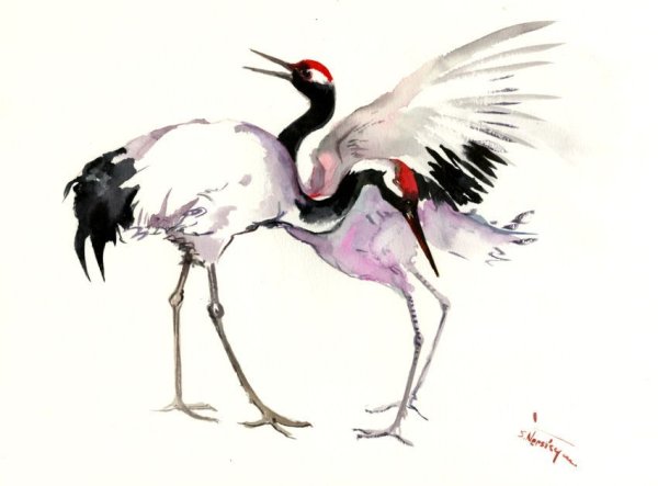 Журавль акварель