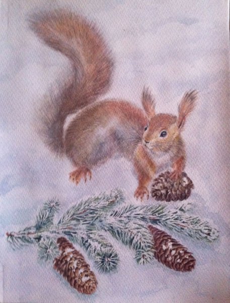 Белка зимой акварель