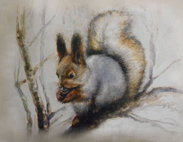 Животные леса акварель