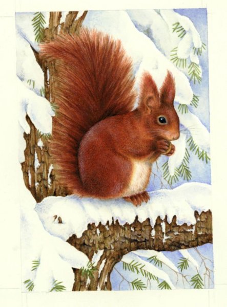 Лесные жители зимой