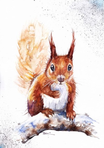 Бельчонок акварель