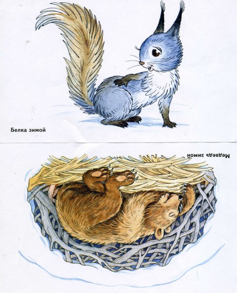 Белка зимой рисовать