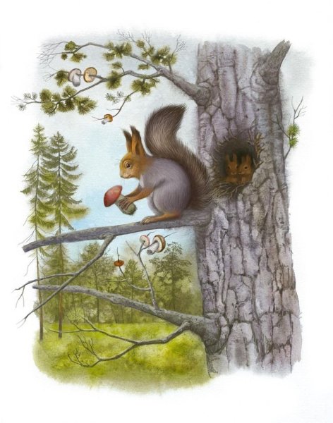 Белка с бельчатами в дупле