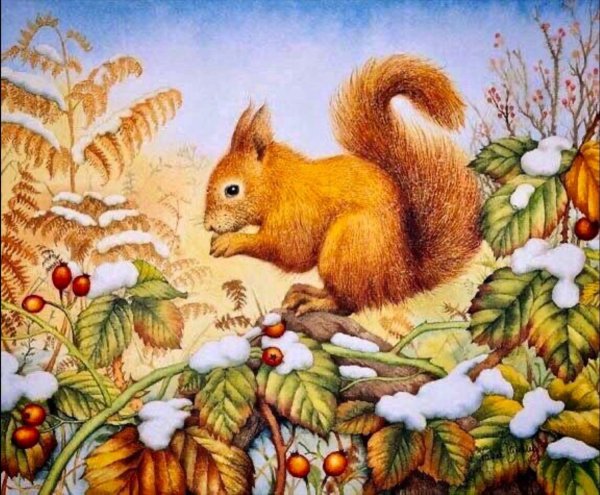 Белочки и зайчики в лесу