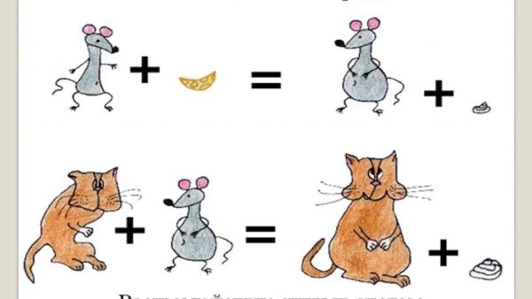 Обменвеществ и ээнергии