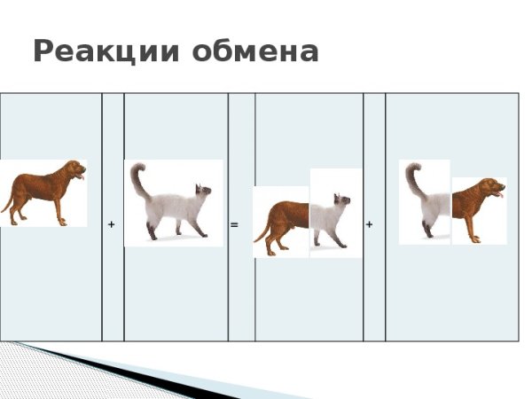 Реакция обмена рисунок пример