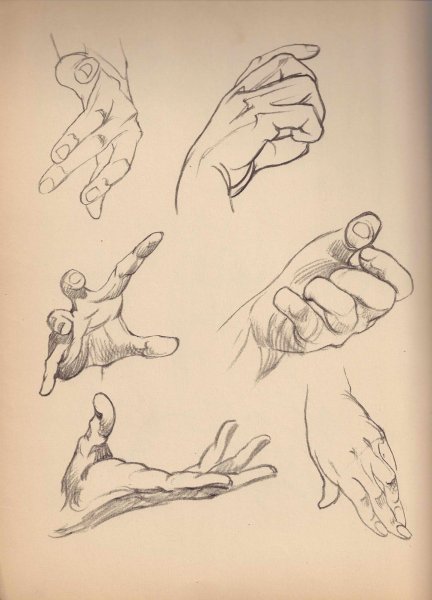 Рука в перспективе