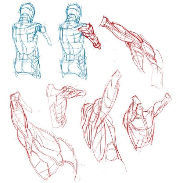Человек референс перспектива руки