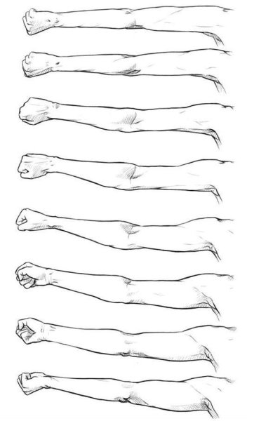 Рука референс полностью