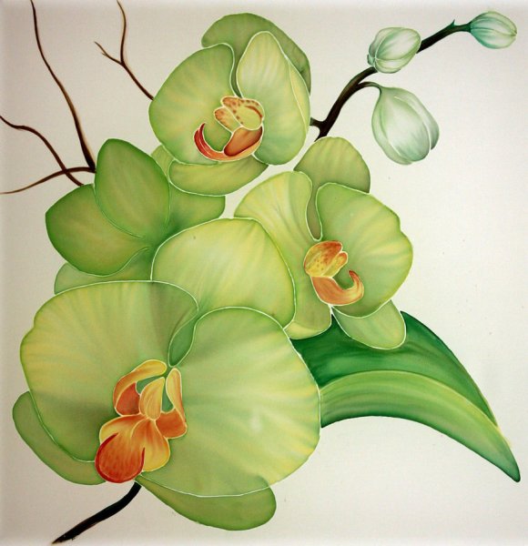 Стилизованные орхидеи