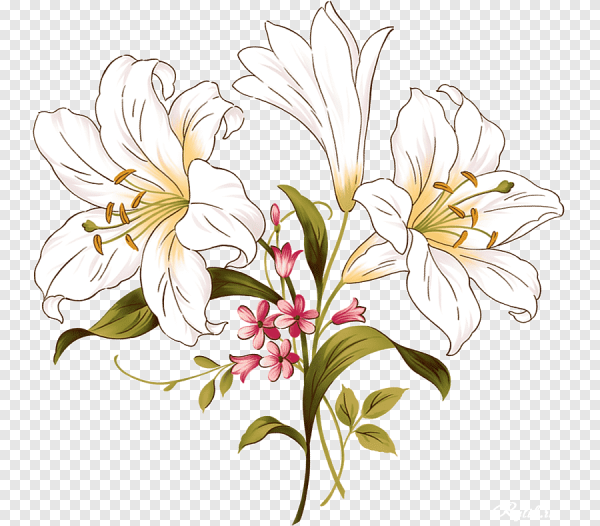 Цветы рисунок