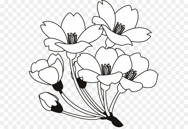 Весенние цветы черно белые