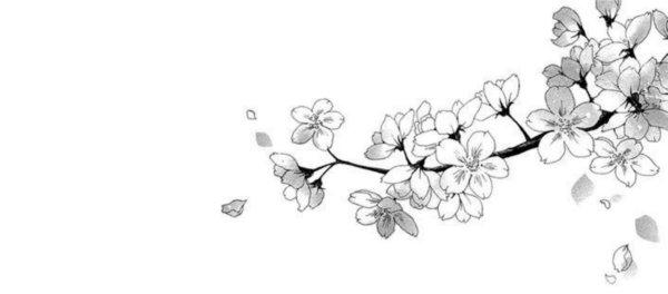 Ветка цветов