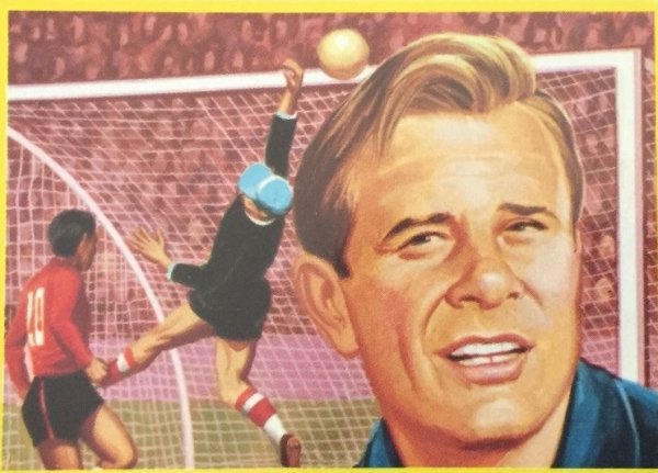 Лев Яшин вектор