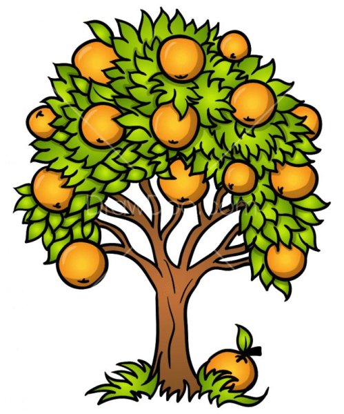 Фруктовые деревья для детей