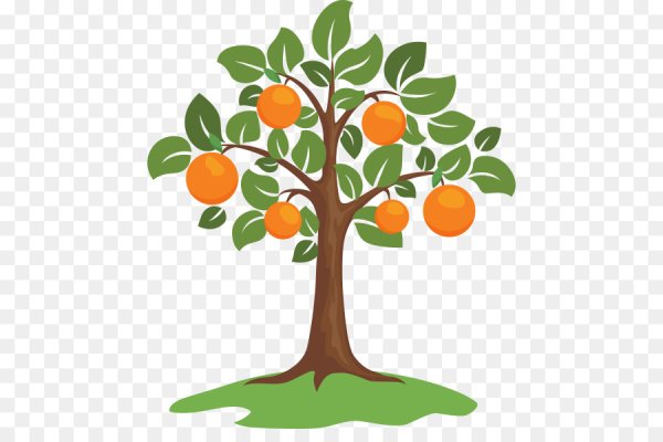 Фруктовое дерево вектор