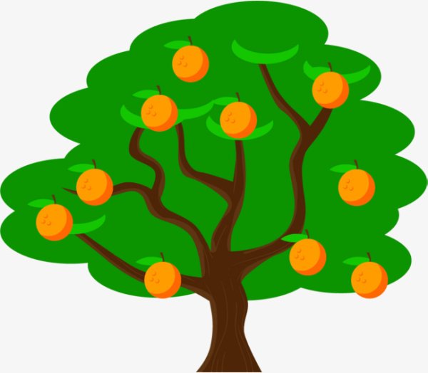 Фруктовые деревья для детей