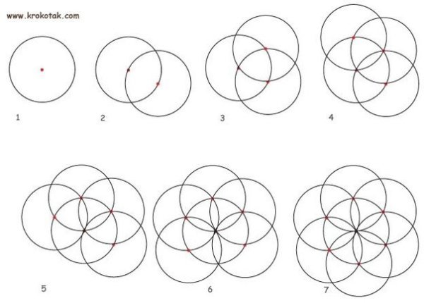Фигура тор Сакральная геометрия