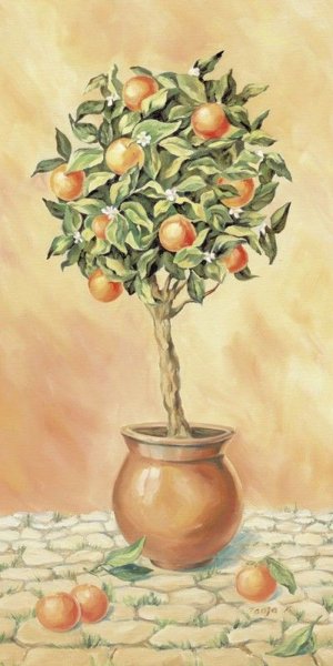 Мандариновое дерево живопись