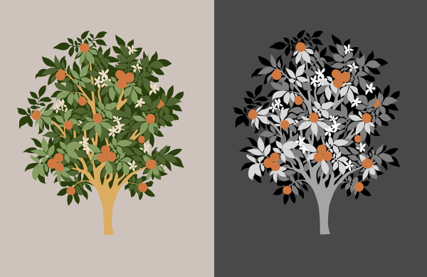 Апельсиновое дерево вектор