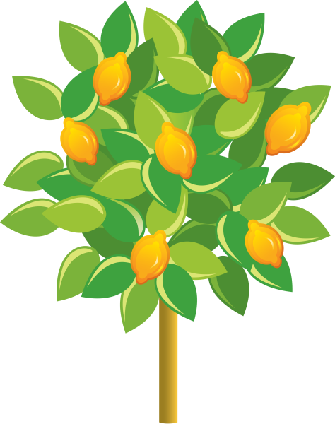 Апельсиновое дерево для детей