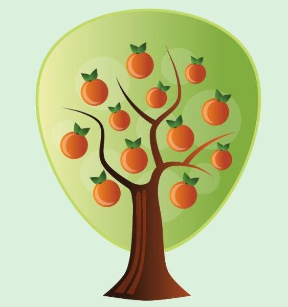 Рисование фруктовое дерево