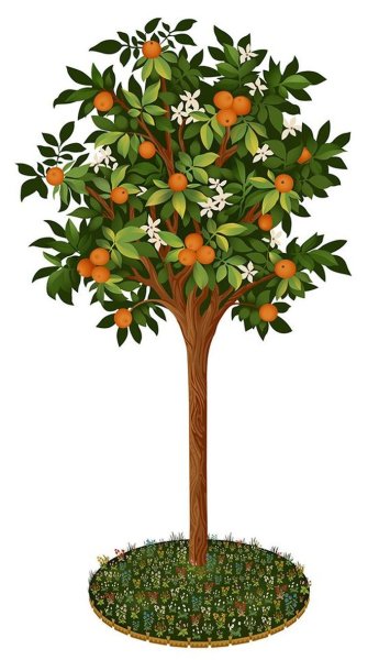 Мандариновое дерево пиксельарт