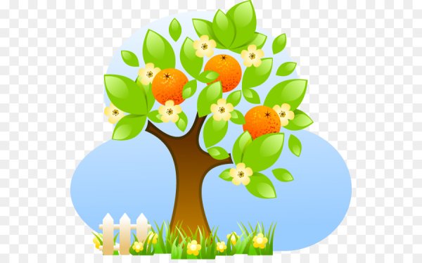 Плодовые деревья вектор