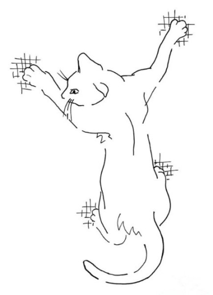 Котик на задних лапах рисунок