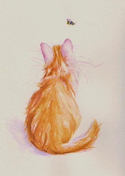 Кот спина акварель