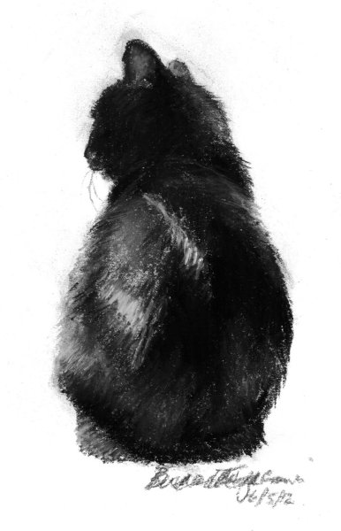 Кошка акварелью черно белая