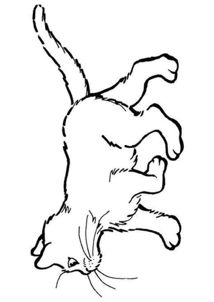 Кот для раскрашивания сзади