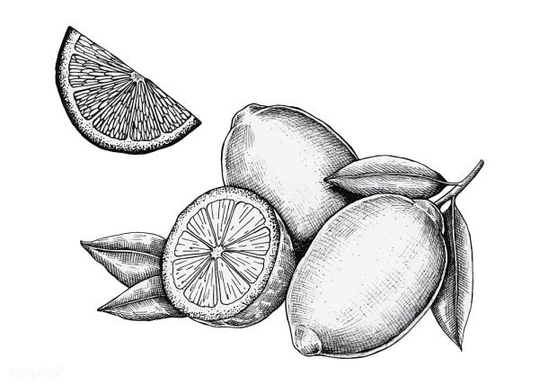Скетч фрукты