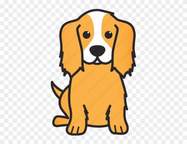 Сидячая собака рисунок