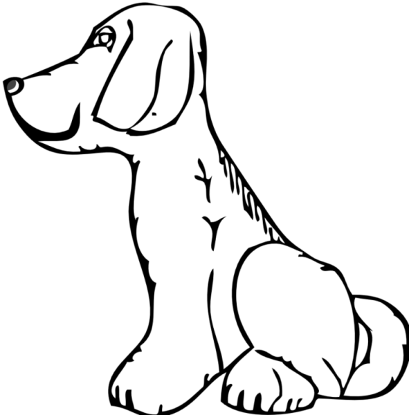 Собака чёрно белая сбоку