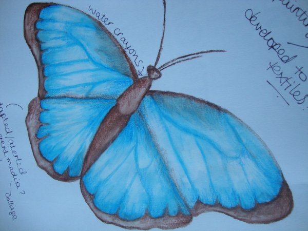 Афанасий Фет бабочка иллюстрация