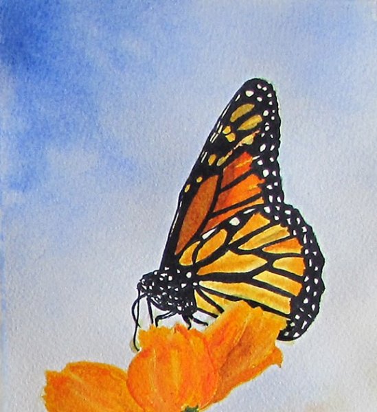 Афанасий Фет бабочка иллюстрация