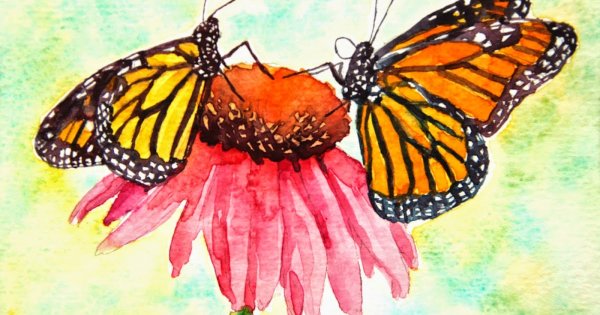 Иллюстрация к стихотворению бабочка