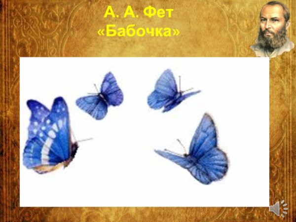 Афанасьевич Фет бабочка