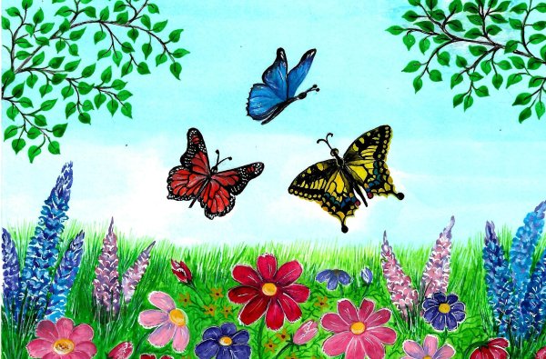 Рисунок к стихотворению бабочка