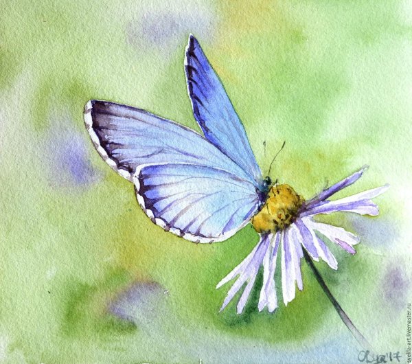 «Цветок, бабочка и мухи» (1817, акварель, ГРМ, Санкт-Петербург)